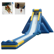 adult giant slides